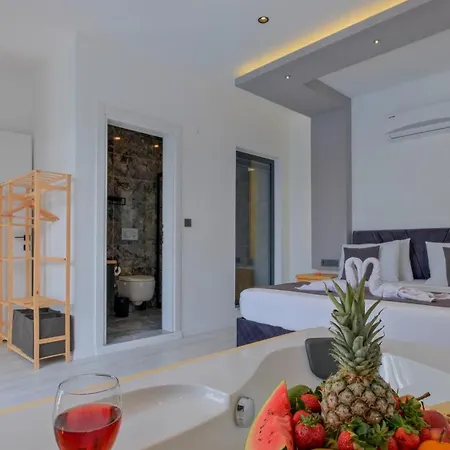 Sitrin 2 别墅 费特希耶