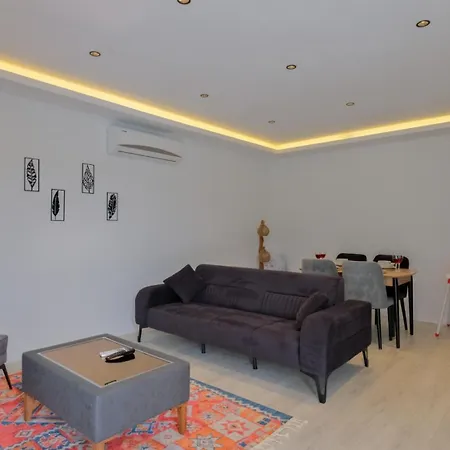 Sitrin 2 * 费特希耶